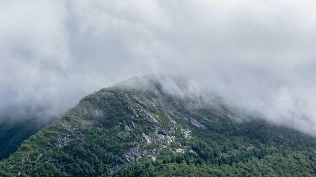 Profound leadingedge workforce